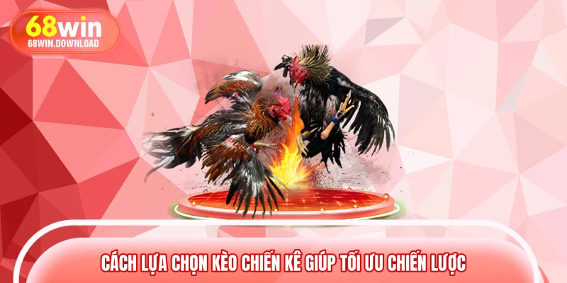 Cách lựa chọn kèo chiến kê giúp tối ưu chiến lược