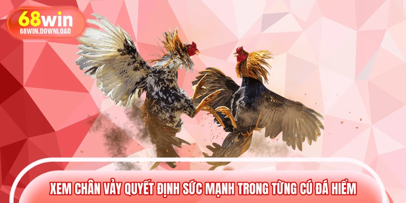 Xem chân vảy quyết định sức mạnh trong từng cú đá hiểm